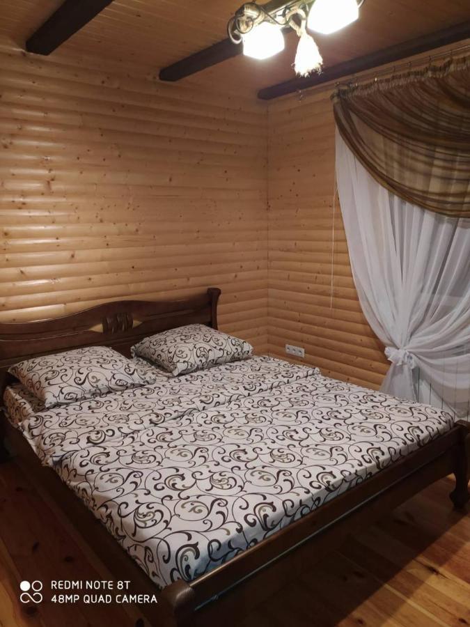 Карпатські Зорі Vila Pilipets Exterior foto