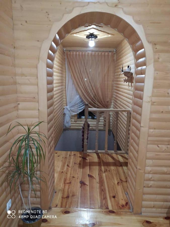Карпатські Зорі Vila Pilipets Exterior foto
